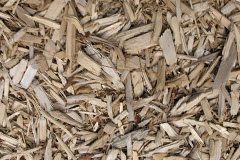 biomass boilers Woolminstone